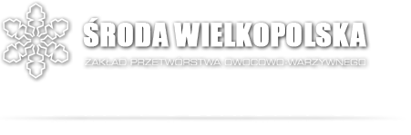 ZPOW Środa Wlkp.